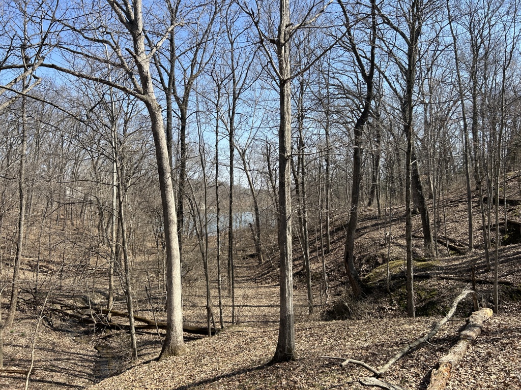 Illinois, United States, 3 Bedrooms Bedrooms, 9 Rooms Rooms,3 BathroomsBathrooms,Over 90,000,Available,1462