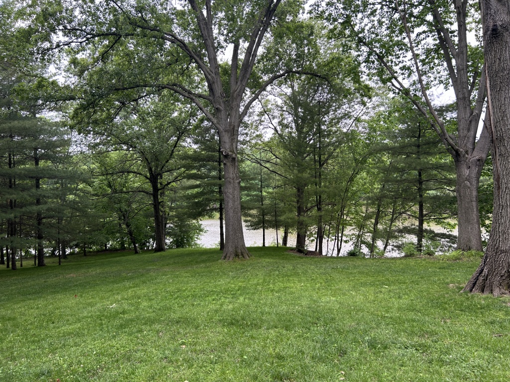 19501 Lakeview Dr., Rushville, Schuyler, Illinois, United States 62681, 2 Bedrooms Bedrooms, 6 Rooms Rooms,2 BathroomsBathrooms,Over 90,000,Pending,Lakeview Dr.,1465