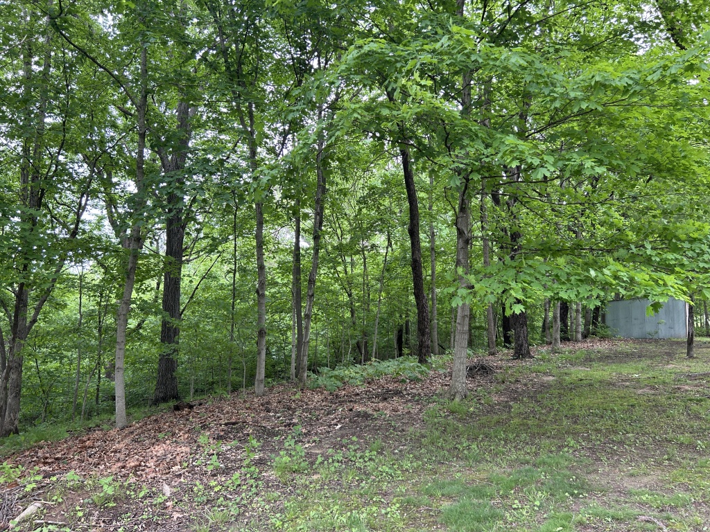 19501 Lakeview Dr., Rushville, Schuyler, Illinois, United States 62681, 2 Bedrooms Bedrooms, 6 Rooms Rooms,2 BathroomsBathrooms,Over 90,000,Pending,Lakeview Dr.,1465