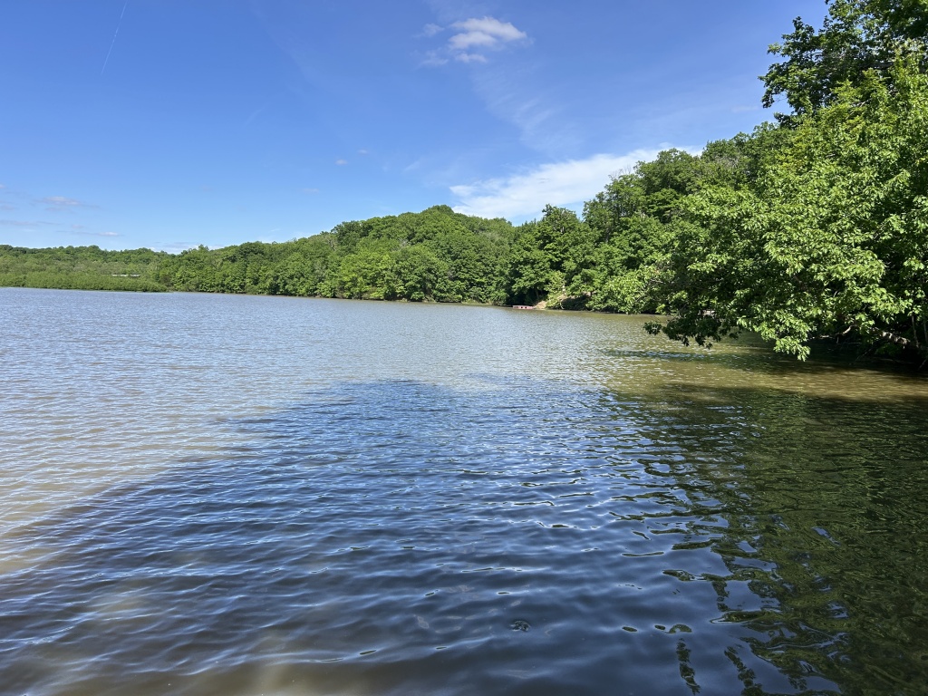 19501 Lakeview Dr., Rushville, Schuyler, Illinois, United States 62681, 2 Bedrooms Bedrooms, 6 Rooms Rooms,2 BathroomsBathrooms,Over 90,000,Pending,Lakeview Dr.,1465
