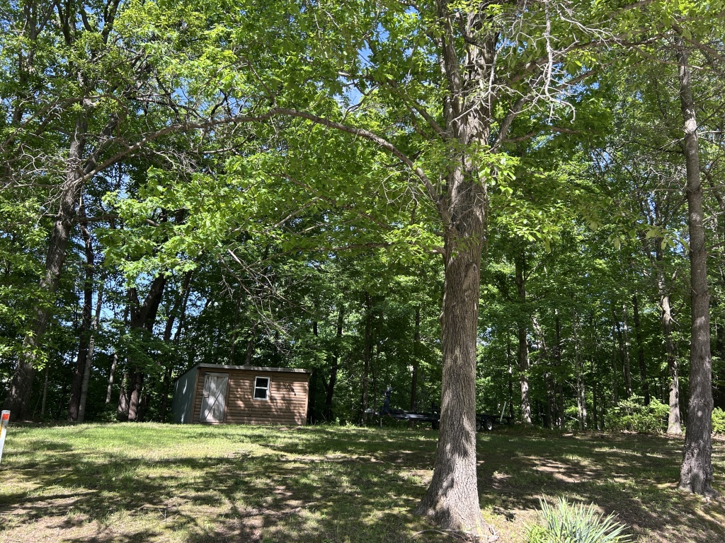 19501 Lakeview Dr., Rushville, Schuyler, Illinois, United States 62681, 2 Bedrooms Bedrooms, 6 Rooms Rooms,2 BathroomsBathrooms,Over 90,000,Pending,Lakeview Dr.,1465