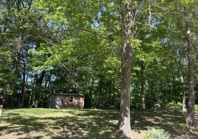 19501 Lakeview Dr., Rushville, Schuyler, Illinois, United States 62681, 2 Bedrooms Bedrooms, 6 Rooms Rooms,2 BathroomsBathrooms,Over 90,000,Pending,Lakeview Dr.,1465