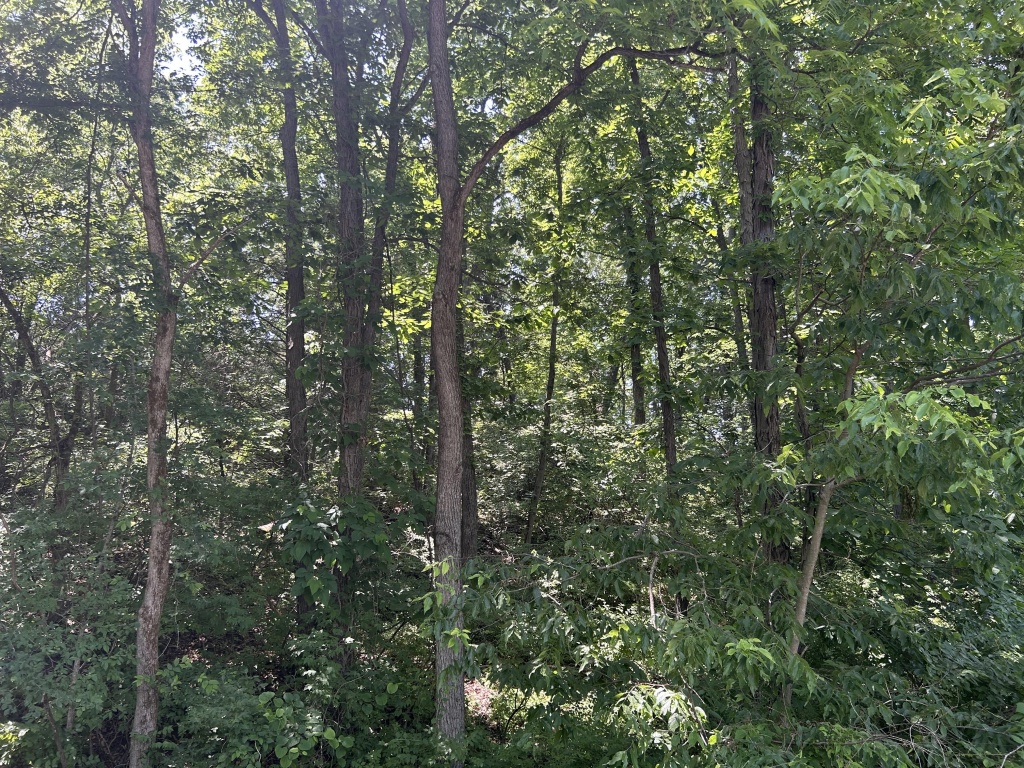 Rushville, Illinois, United States, ,Lots and Farms,Available,1467