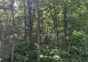 Rushville, Illinois, United States, ,Lots and Farms,Available,1467