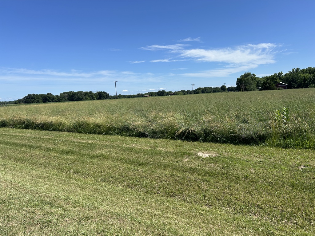 19501, Rushville, Schuyler, Illinois, United States 62681, ,40,000 to 90,000,Available,1469