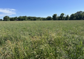 19501, Rushville, Schuyler, Illinois, United States 62681, ,40,000 to 90,000,Available,1469
