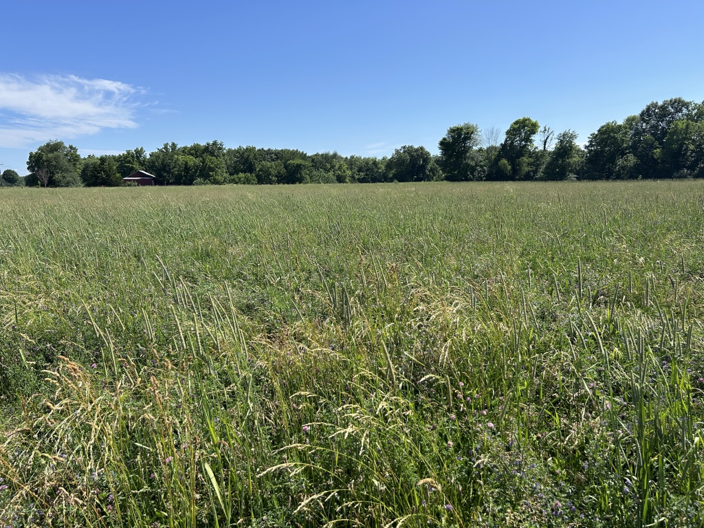 19501, Rushville, Schuyler, Illinois, United States 62681, ,40,000 to 90,000,Available,1470