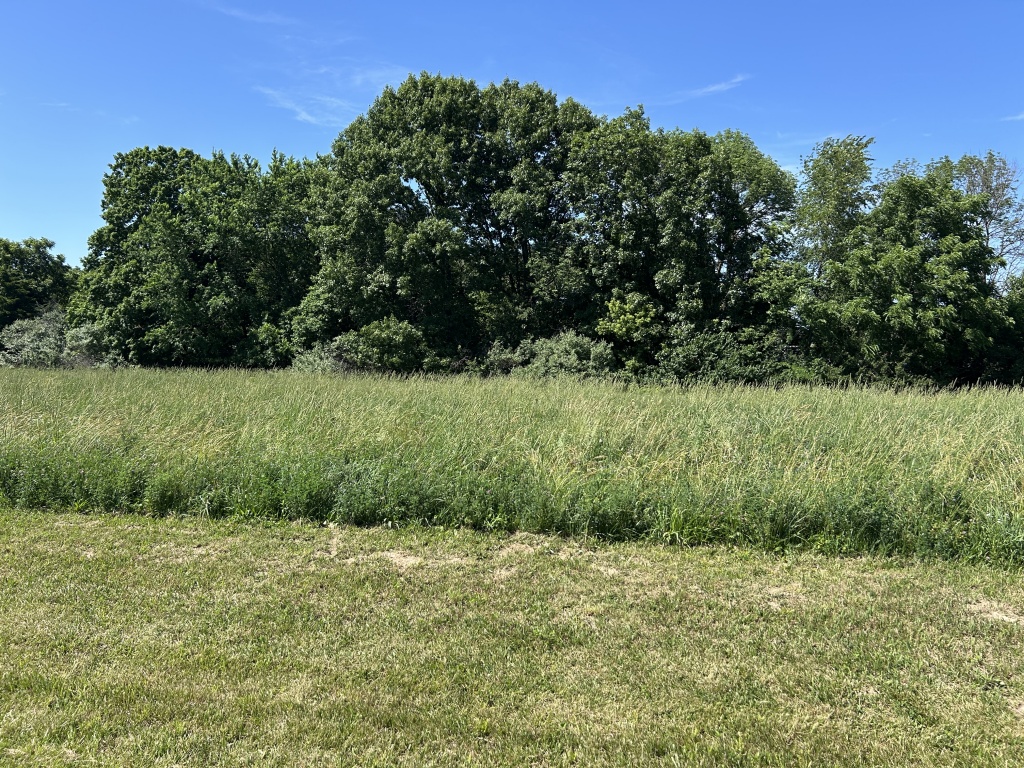 Rushville, Schuyler, Illinois, United States 62681, ,40,000 to 90,000,Available,1471