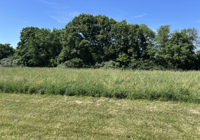 Rushville, Schuyler, Illinois, United States 62681, ,40,000 to 90,000,Available,1471