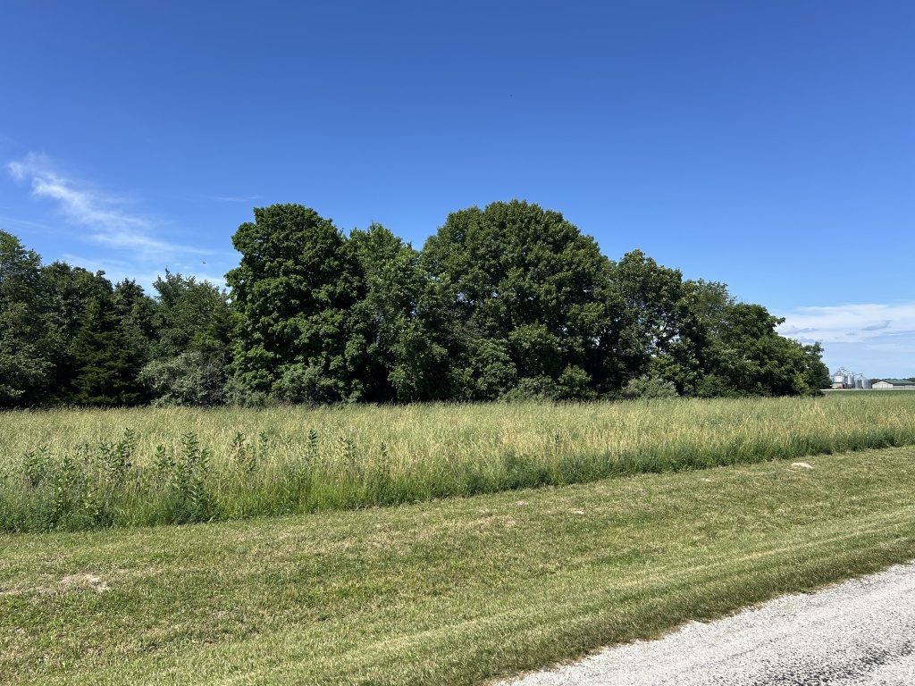 Rushville, Schuyler, Illinois, United States 62681, ,40,000 to 90,000,Available,1471