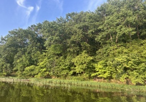 Illinois, United States, ,Lots and Farms,Available,1480